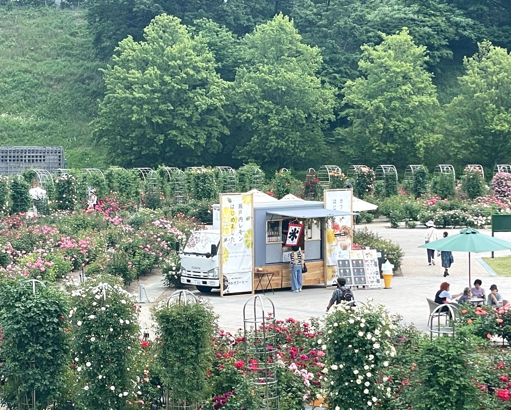 6.15（日）まで！ぎふグリーン・ライフフェスティバル2025～春のローズフェスティバル～＠ぎふワールド・ローズガーデン（岐阜県可児市）　キッチンカー　フードコート